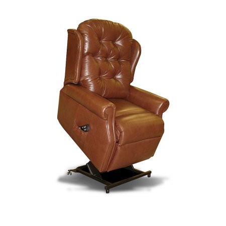 Celebrity - Woburn Compact Lift and Rise Leather Chair
